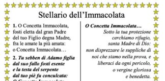 stellario dell'immacolata